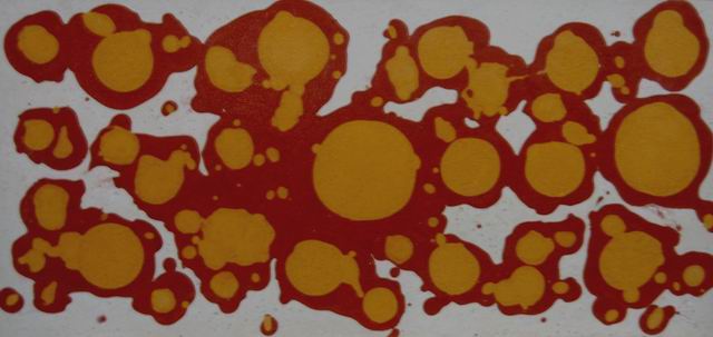 ���ͼƬ�鿴����