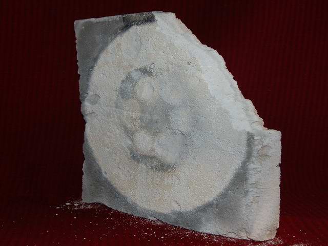 ���ͼƬ�鿴����